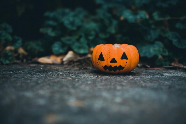 Halloween pumpkin on the ground in front of some ivy.