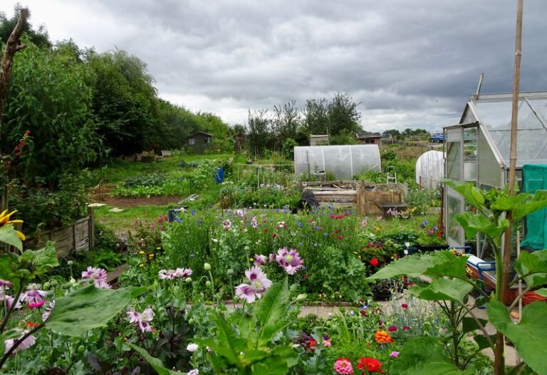 Boundary Way allotments