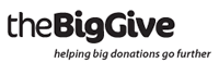 The Big Give logo