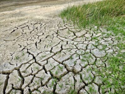 Dry cracked earth by Jody Davis from Pixabay