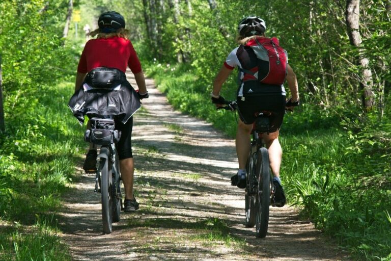 two people cycling on a woodland path. Photo: Pixabay