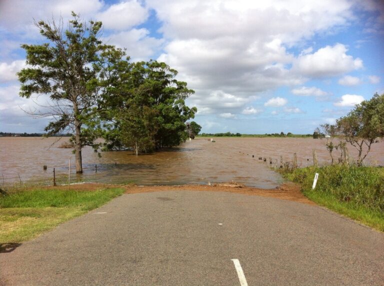 A flooded road with trees on either side