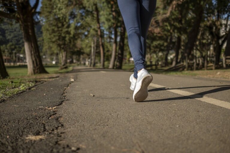 Running on a road through an avenue of trees