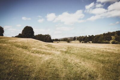 Dry grass in a field on a summer's day. By Sam Jean on Pexels