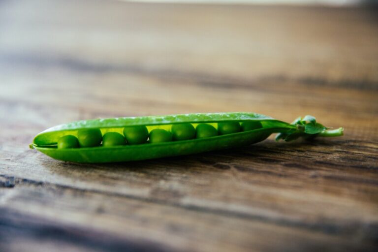 Peas in a pod. Photo: Rachael Gorjestani on Unsplash.com