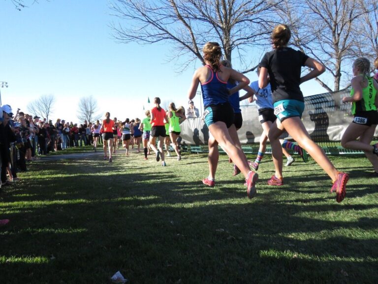 Runners take part in a cross country race. By Farmama on Pixabay