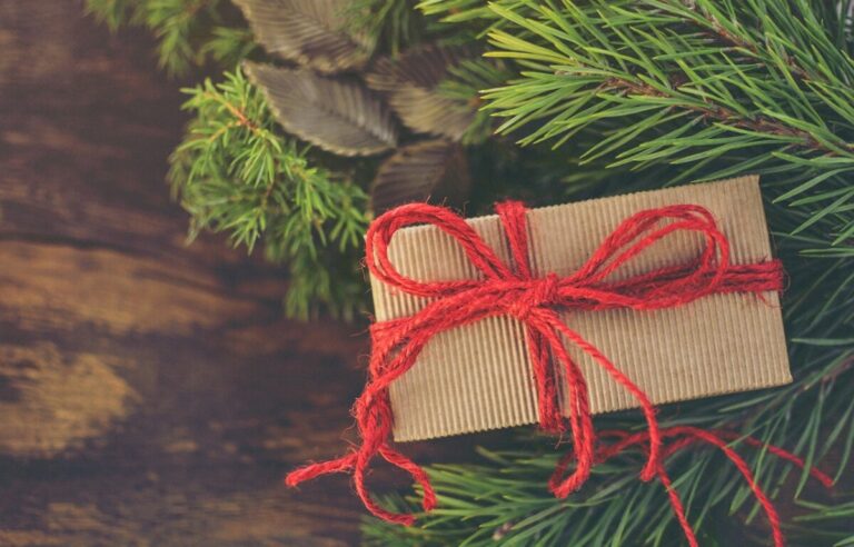 A Christmas gift in a brown box with a red string bow, by a fir tree. By Monika on Pixabay