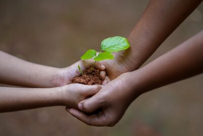 One pair of hands holding a plant hands it to another pair of hands. By Shameer Pk on Pixabay