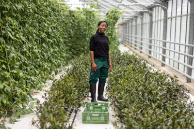 A woman of colour stands facing the camera in a greenhouse. She has green trousers, a black top and wellies on.