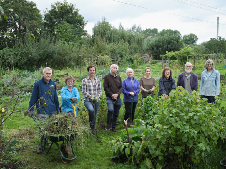 Members of Sustainable Merton tend their community allotment. © Matt Writtle 2021