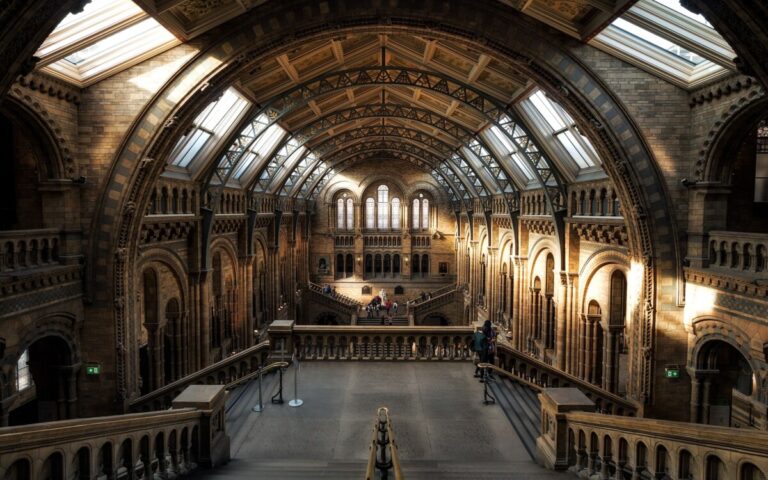 The sunlit interior of the Natural History Museum. By Public Co on Pixabay