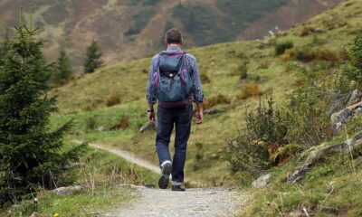 A man walks on a path in a hilly landscape. By Hermann Traub on Pexels