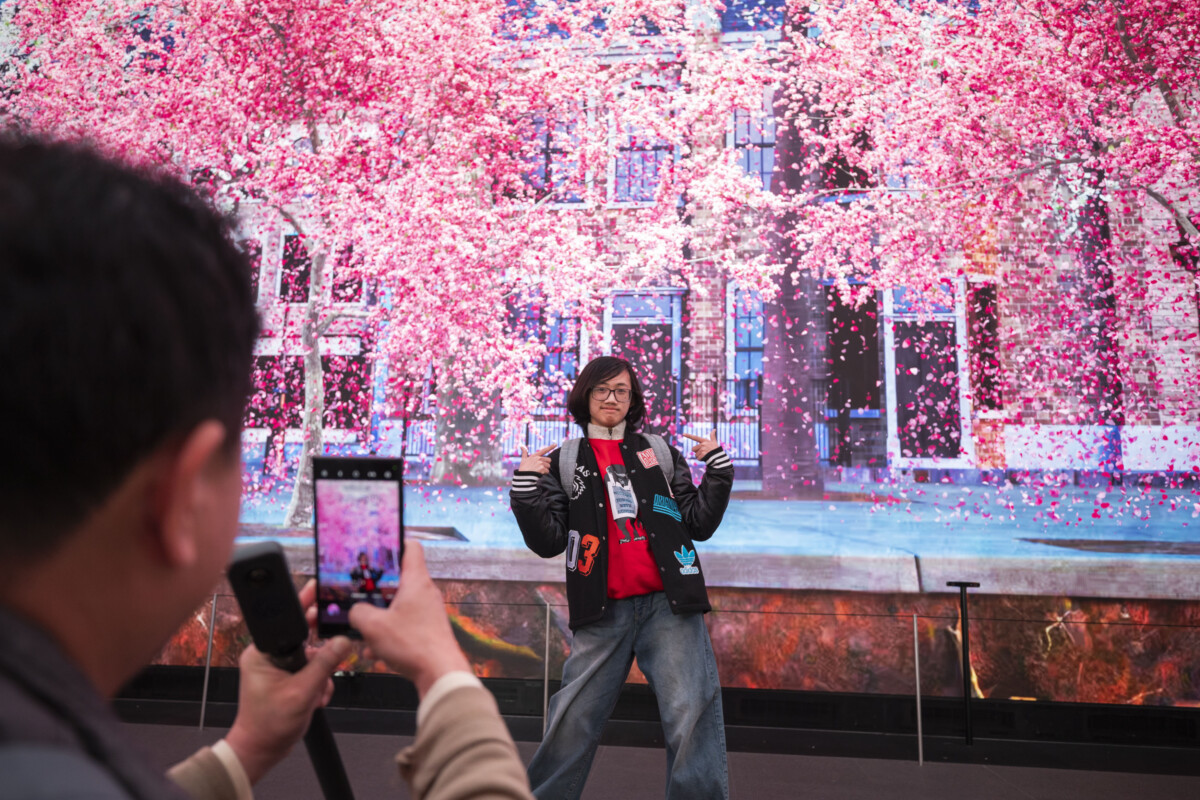 'Nature's Confetti' - a new immersive show - bringing nature into the heart of the city at the Outernet in London - as part of the National Trust's blossom campaign. Credit James Dobson
