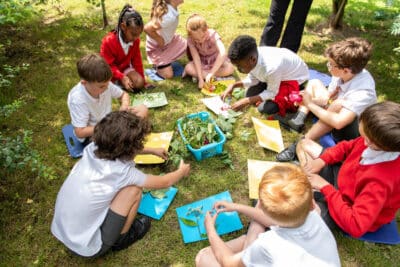 WWF offers £100k to transform 10 UK primary schools' outdoor spaces