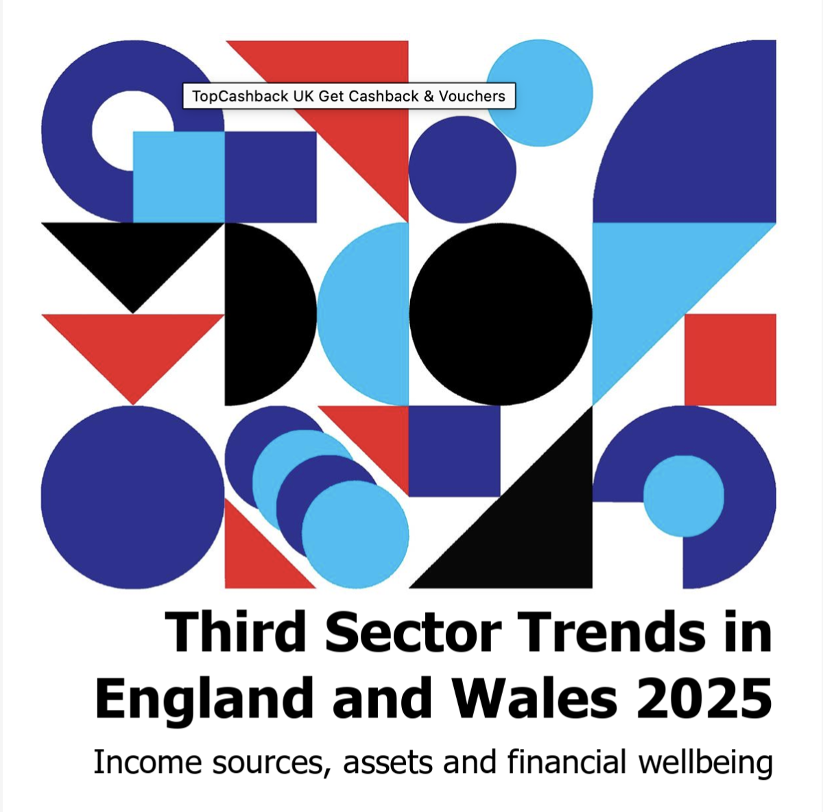 Third Sector Trends in England and Wales 2025 - cover detail